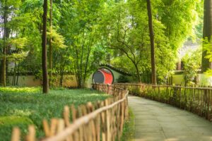 01 – Chengdu – EXACT – Chengdu People_s Park