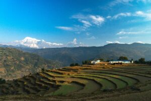 06 – Lulang Nyingchi Basum Tso – REPRESENTATIVE – REPRESENTATIVE – green Himalayan landscape – no exact Nyingchi or Basum Tso photo in ZIP