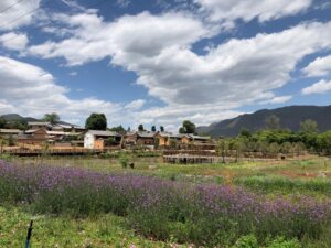 06-lijiang-shaxi-img-9756