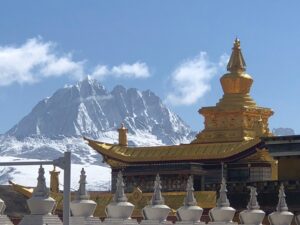 08-western-sichuan-alpine-img-9523