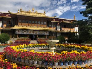 09-lhasa-norbulingka-img-6840