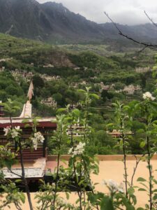 09-western-sichuan-alpine-img-9570