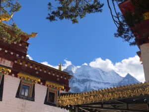 10-daocheng-yading-img-2141