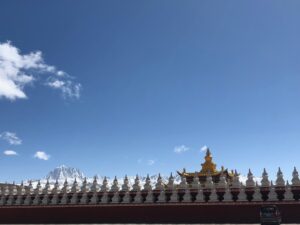 12-western-sichuan-alpine-img-9535