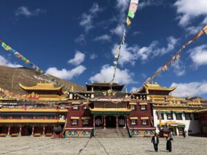 13-western-sichuan-alpine-img-9538