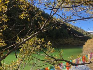 14-daocheng-yading-img-2174