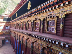 14-yushu-wildlife-habitat-img-3893