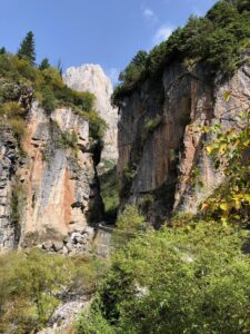 14-zagana-img-6816