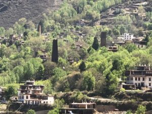 15-western-sichuan-alpine-img-9632