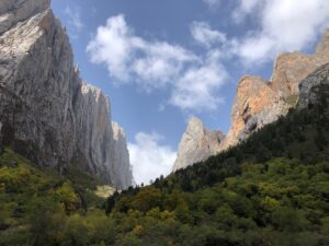 15-zagana-img-6871