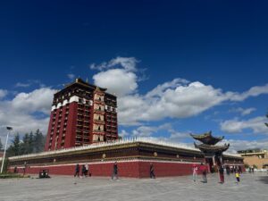 16-hezuo-img-1333