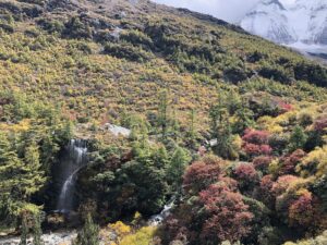 17-daocheng-yading-img-2224