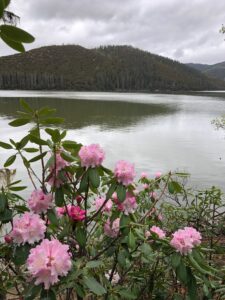 20-shangri-la-img-0116
