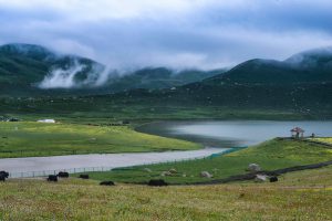 Amdo grasslands
