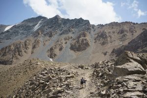 Remote Silk Road